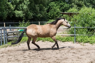 Bild 169 - Vivi